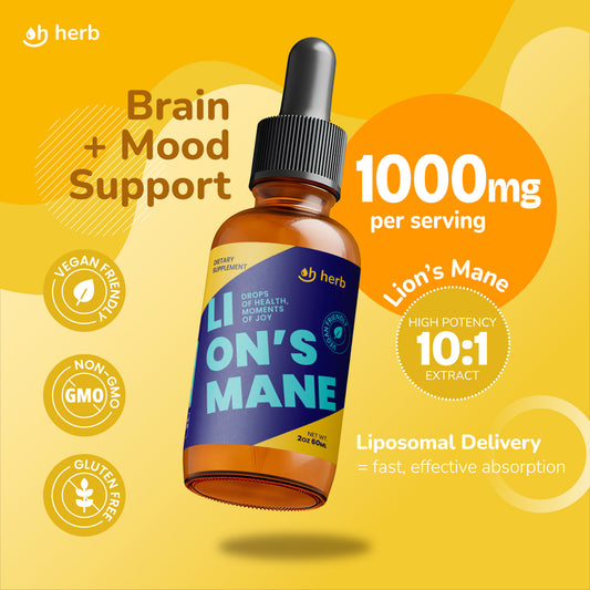 Liposomal Lion's Mane Drops – Brain Boost + Mood Support